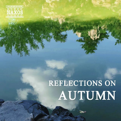 小正太初精洗脑改造过程
